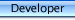 Developer